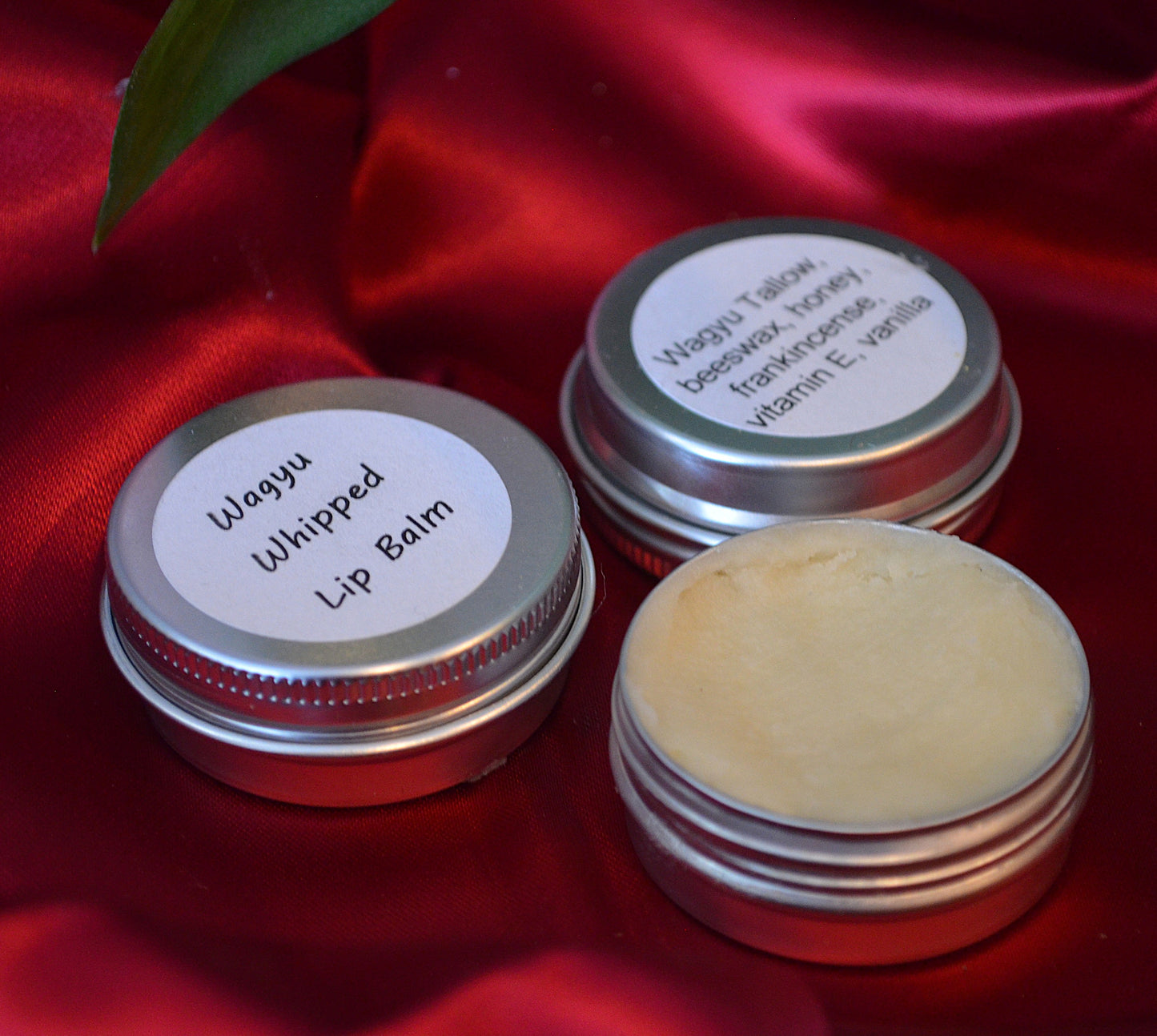 Wagyu Whipped Lip Balm ~ All Natural Beef Tallow Lip Balm