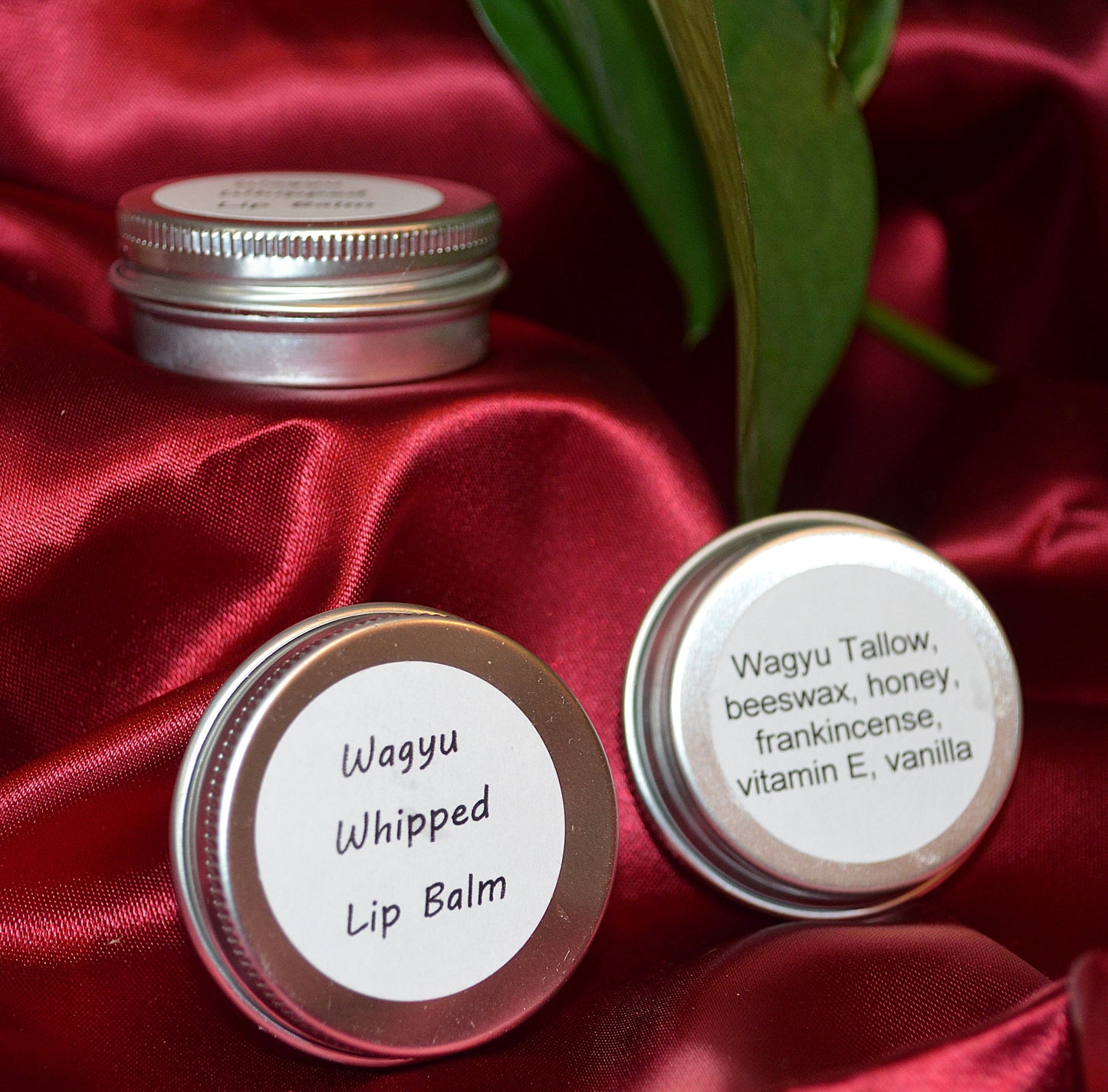 Wagyu Whipped Lip Balm ~ All Natural Beef Tallow Lip Balm