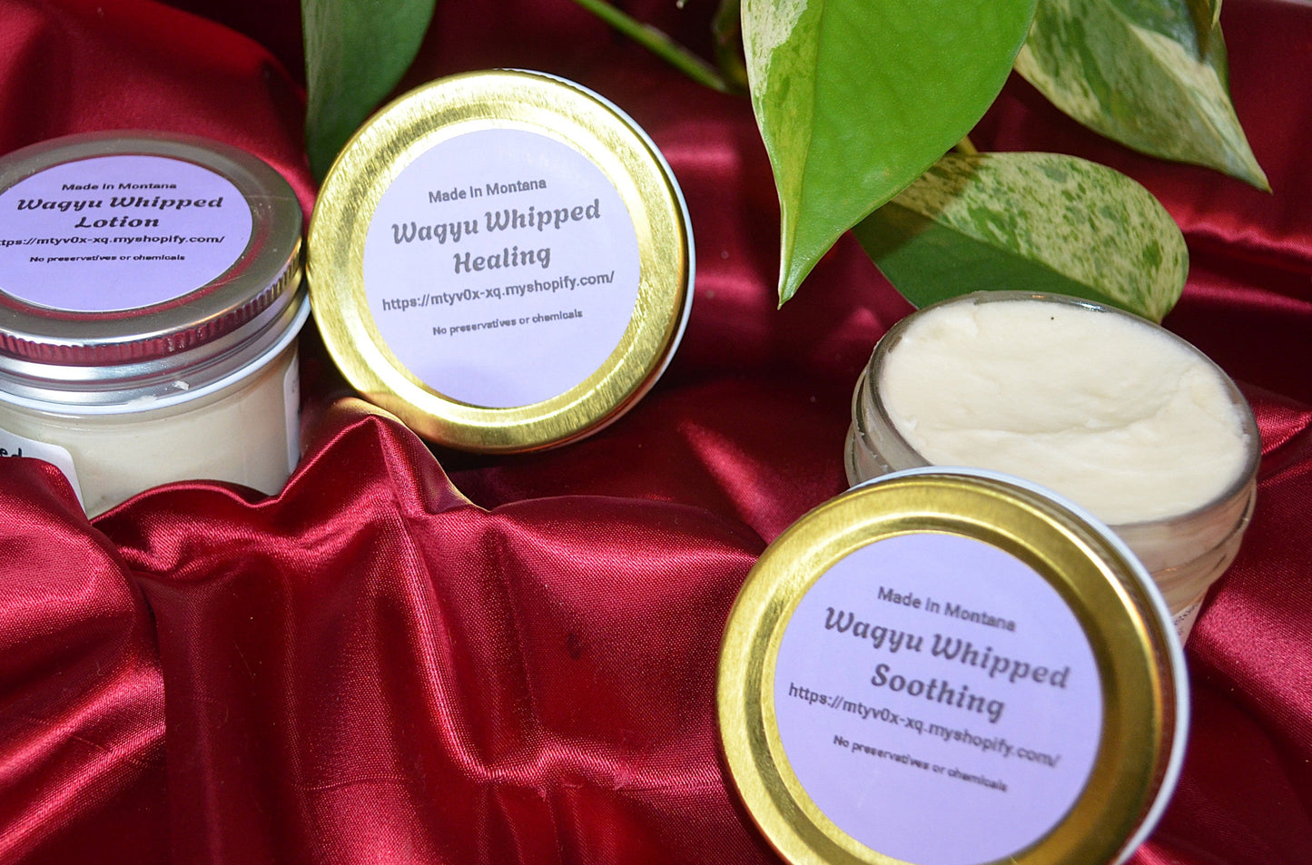 Wagyu Whipped Healing Lotion ~ All natural Beef Tallow Lotion for Pain Relief