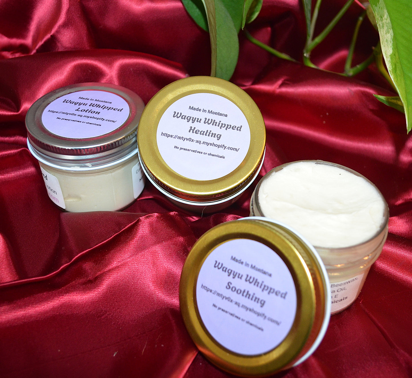 Wagyu Whipped Soothing Lotion ~ All natural Beef Tallow Lotion to Soothe Your Skin